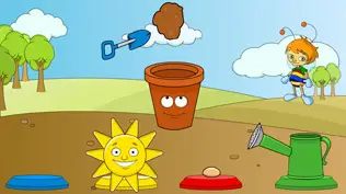 plant